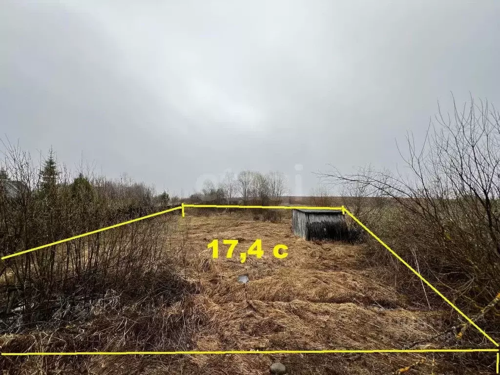 Участок в Вологодская область, д. Владычнево (Березниковский ... - Фото 0