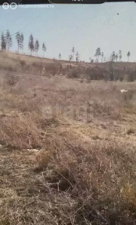 Участок в Сотниково, СНТ Багульник, 3-й квартал (5 м) - Фото 1