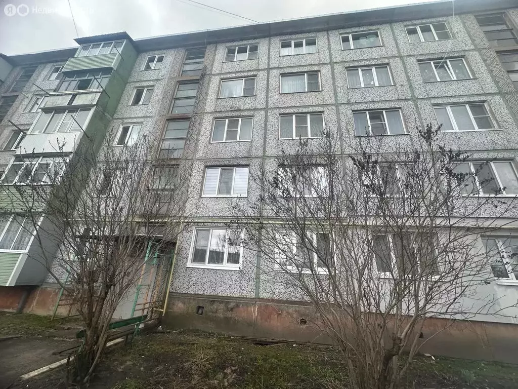 3-комнатная квартира: Венёв, микрорайон Южный, 15 (62.2 м) - Фото 2