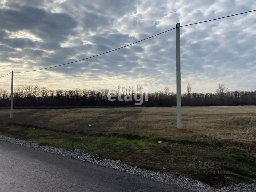 Участок в Ростовская область, Аксайский район, Большелогское с/пос, ... - Фото 2