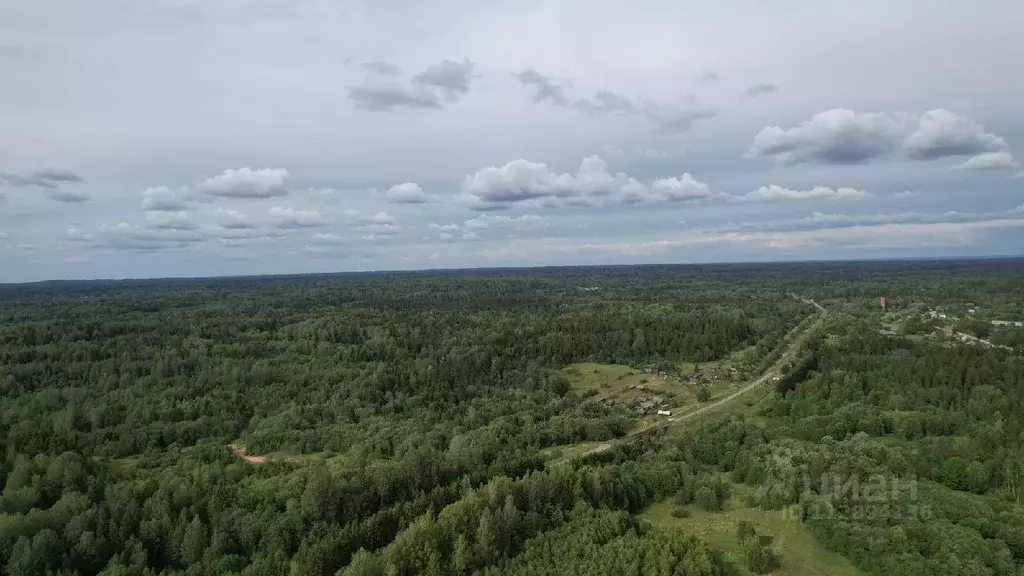 Участок в Тверская область, Торопецкий муниципальный округ, д. ... - Фото 1