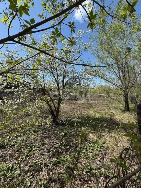 Участок в Алтайский край, Красногорский район, с. Быстрянка ул. ... - Фото 0