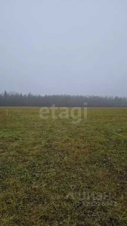 Участок в Коми, Корткеросский район, Додзь муниципальное образование, ... - Фото 2