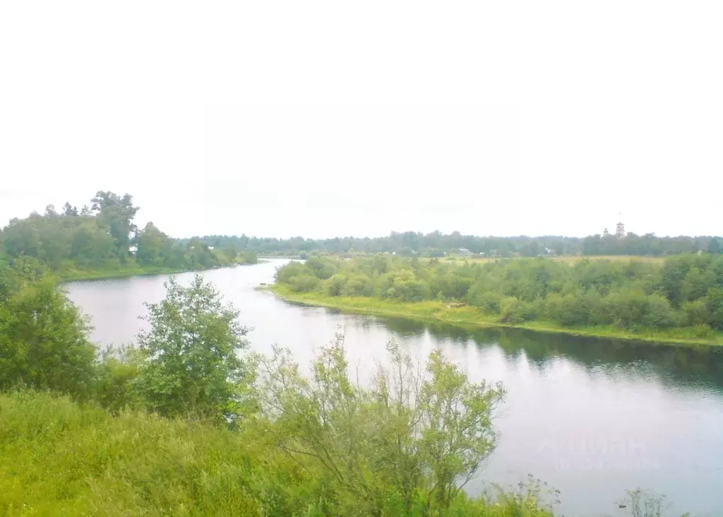Участок в Вологодская область, Усть-Кубинский муниципальный округ, с. ... - Фото 2