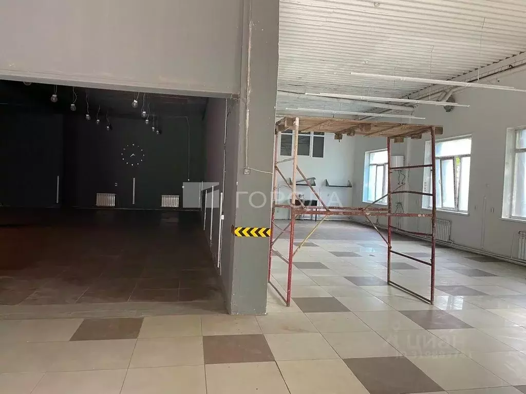 Помещение свободного назначения в Новосибирская область, Новосибирск ... - Фото 1