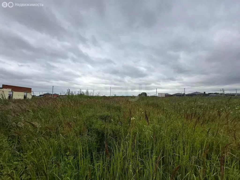 Участок в село Сокуры, улица Александра Радищева (10 м) - Фото 2