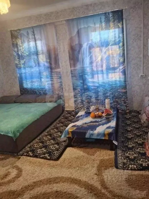 Дом в Иркутская область, Иркутск Громовой проезд, 6 (43 м) - Фото 1
