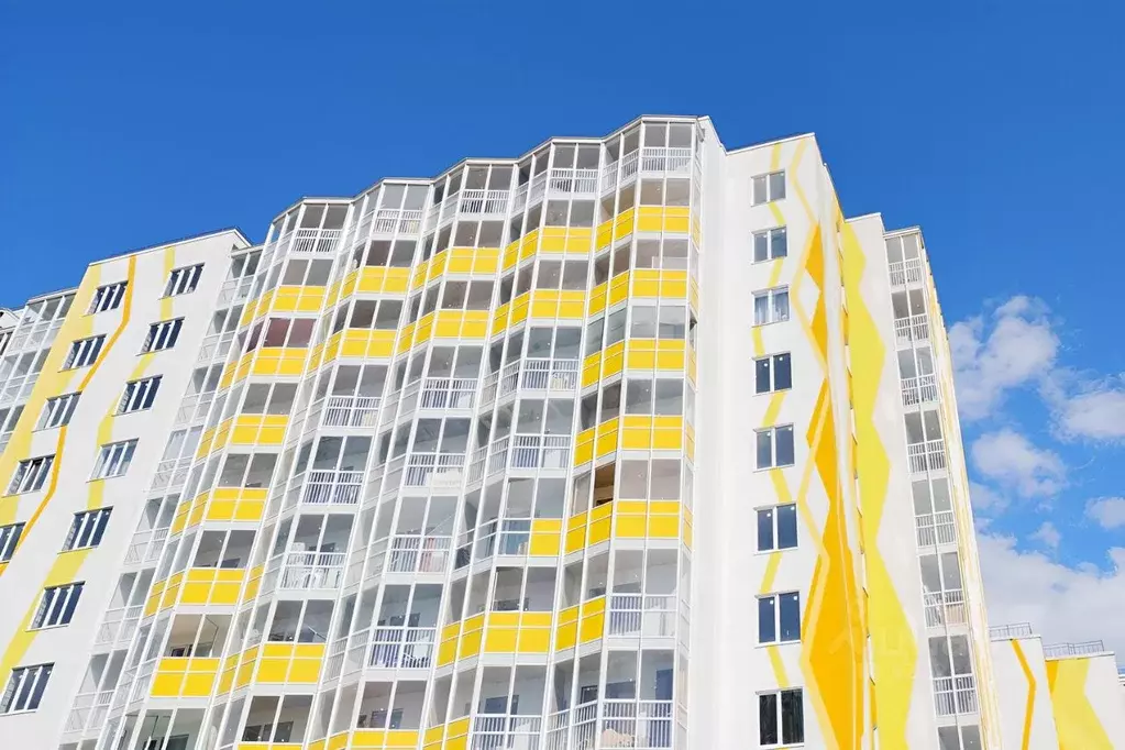 Студия Ленинградская область, Всеволожский район, пос. Бугры ул. ... - Фото 2