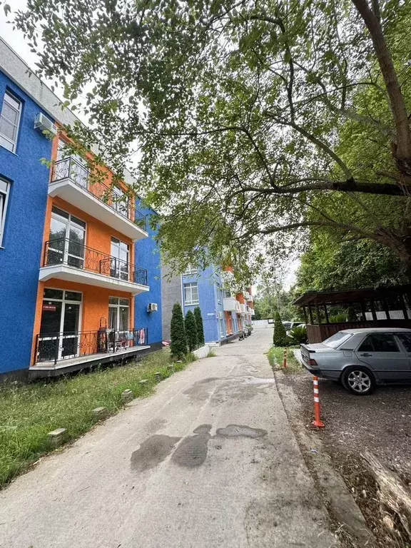 Помещение свободного назначения в Краснодарский край, Сочи городской ... - Фото 1