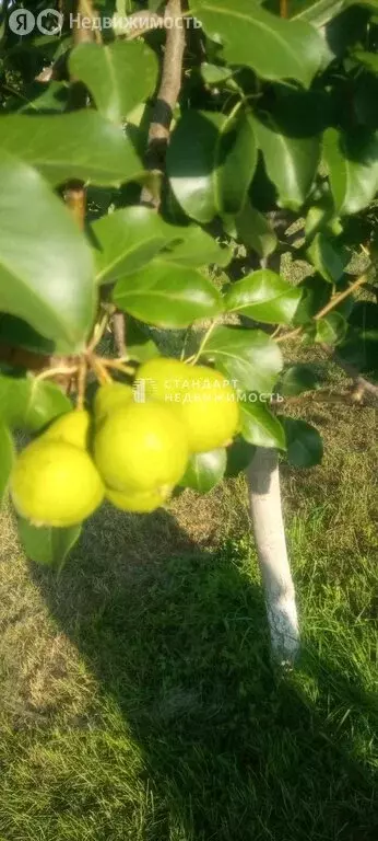 Дом в Тюменская область, Вагайский муниципальный округ, Шестовское ... - Фото 2