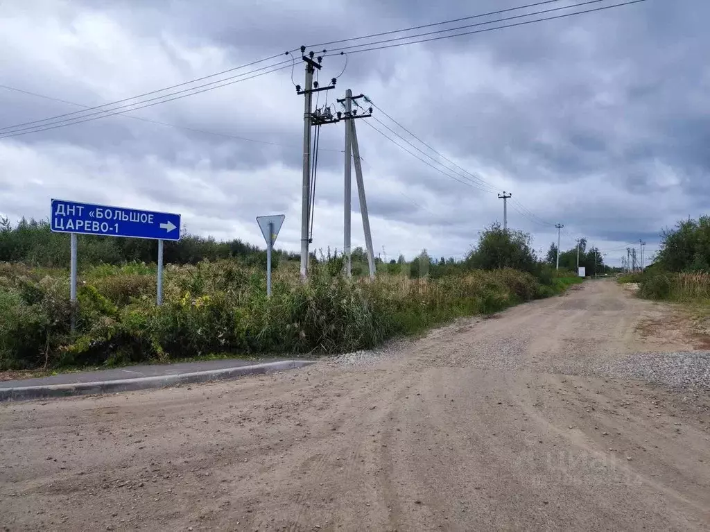 участок в тюменская область, тюмень большое царево-1 тсн, (9.78 сот.) - Фото 1