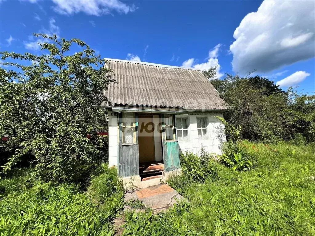 Дом в Брянская область, Брянск Болва садовое общество,  (50 м) - Фото 2