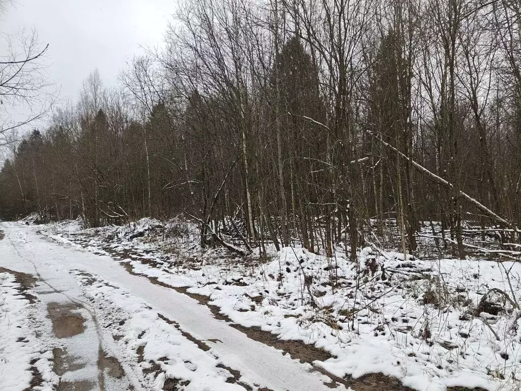 Участок в Московская область, Мытищи городской округ, д. Малое ... - Фото 0