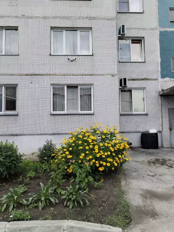3-к кв. Новосибирская область, Искитим Юбилейный просп., 19 (62.4 м) - Фото 0