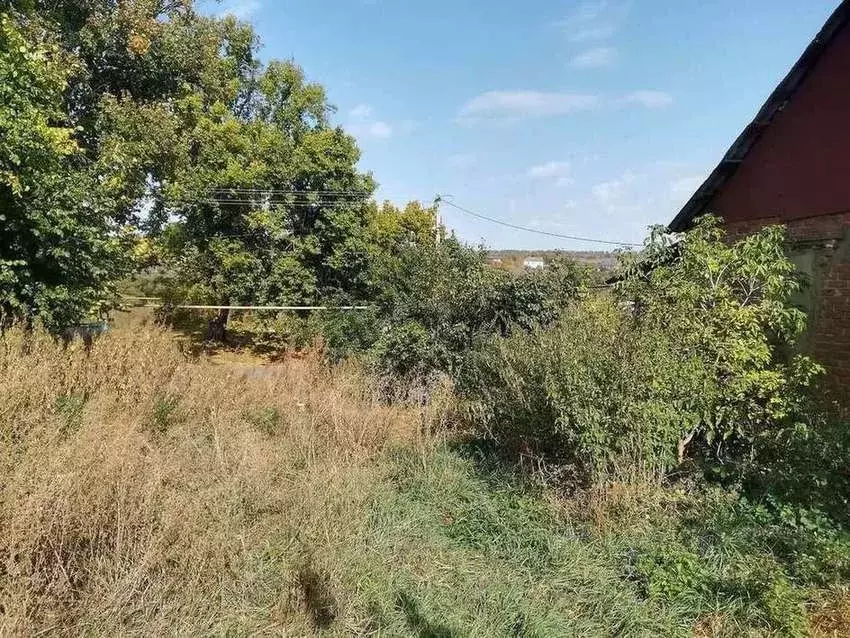 Дом в Белгородская область, Прохоровский район, с. Лучки ул. ... - Фото 2