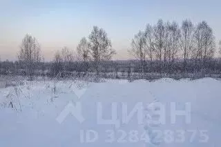 Участок в Ярославская область, Ярославль Липовая Гора жилрайон, ул. ... - Фото 2