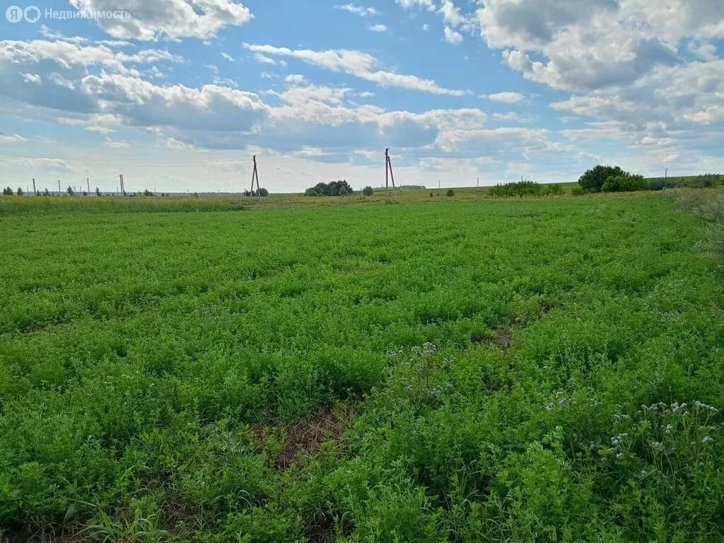 Участок в Высокогорский район, село Шапши (34.5 м) - Фото 1