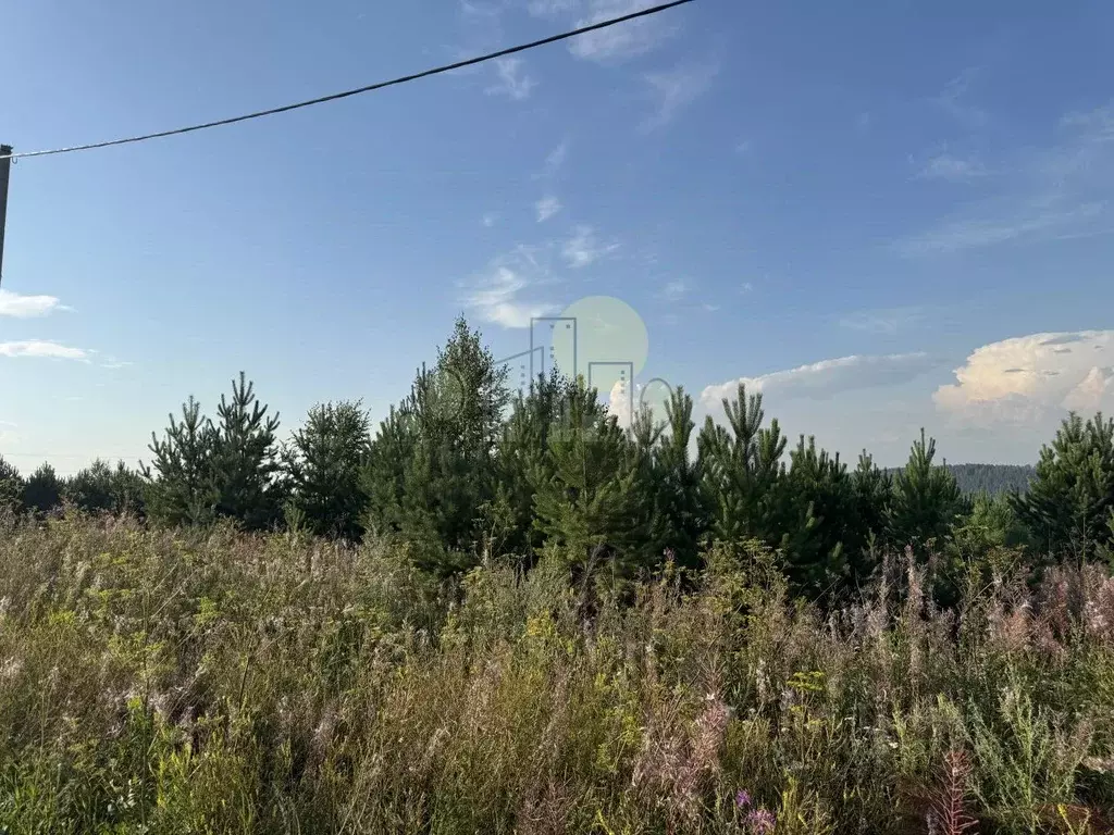 Участок в Иркутская область, Иркутский муниципальный округ, д. Карлук ... - Фото 2