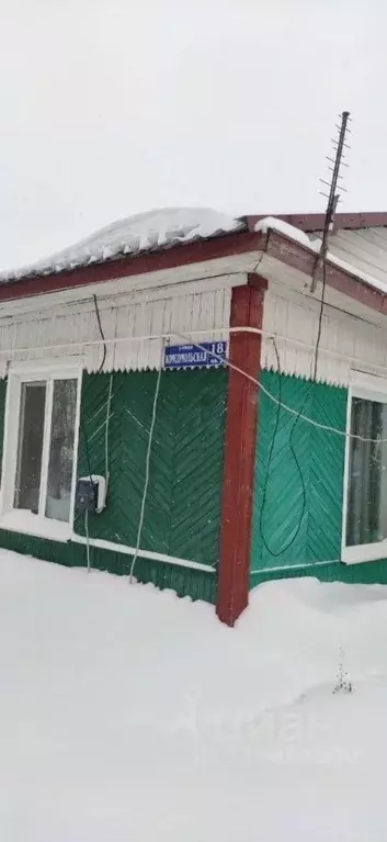 Участок в Омская область, Москаленский район, с. Звездино ... - Фото 1