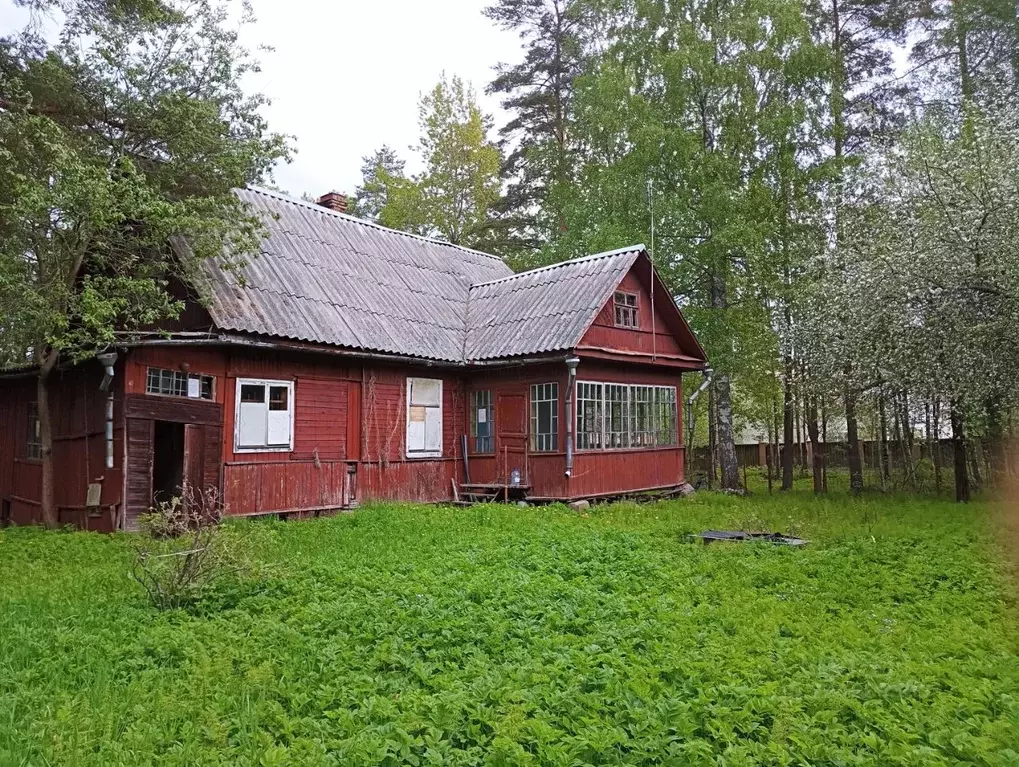 Участок в Ленинградская область, Всеволожский район, Куйвозовское ... - Фото 0