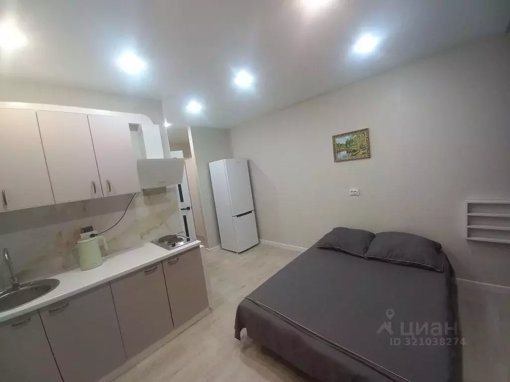 Студия Тюменская область, Тюменский район, д. Патрушева ул. Александра ... - Фото 2