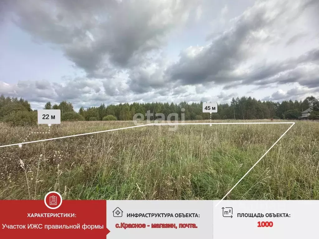 Участок в Ярославская область, Ярославский муниципальный округ, с. ... - Фото 1