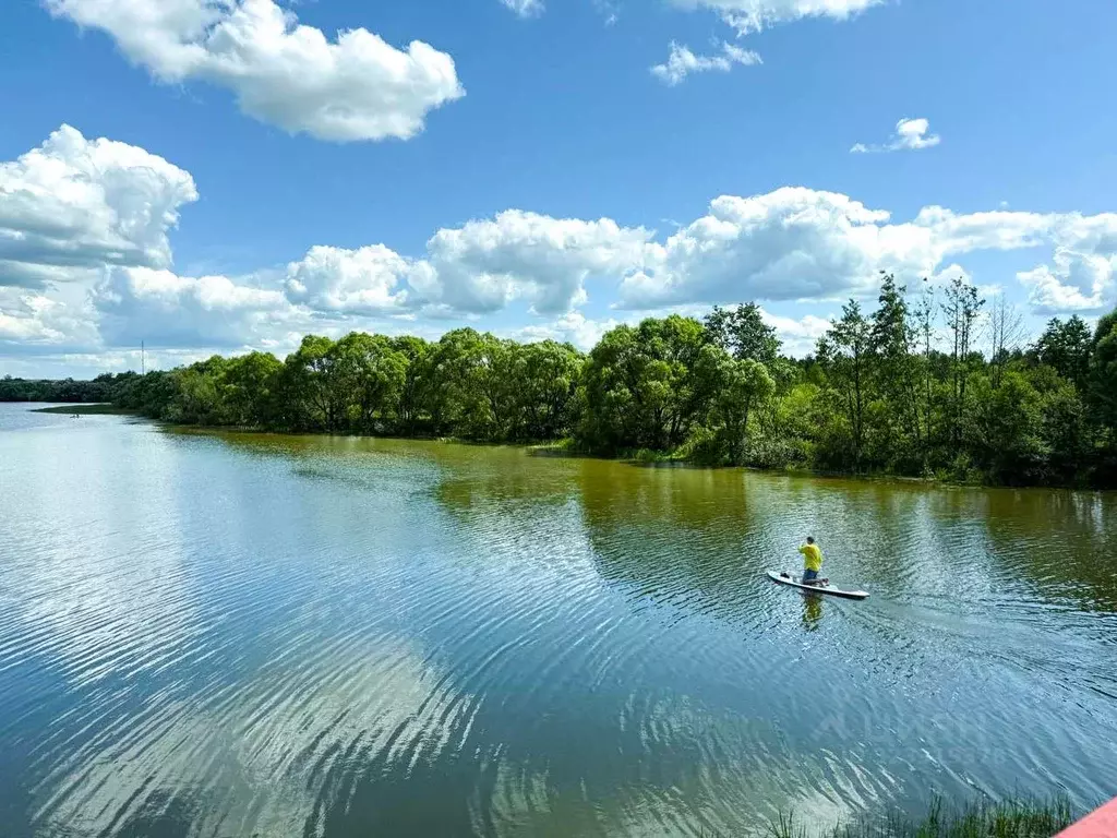 Участок в Московская область, Домодедово городской округ, д. Гальчино, ... - Фото 2