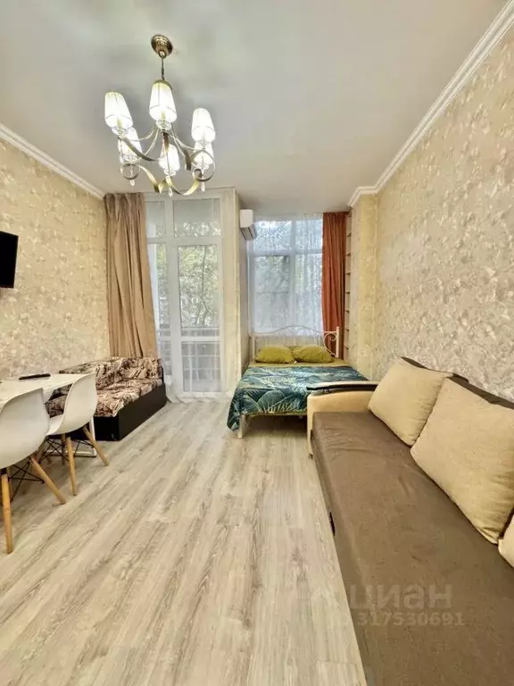 1-к кв. Краснодарский край, Сочи ул. Просвещения, 118/1 (29.0 м) - Фото 1