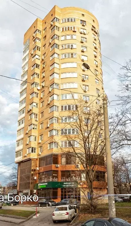 2-к кв. Ростовская область, Ростов-на-Дону Северный мкр, ул. Борко, 10 ... - Фото 1