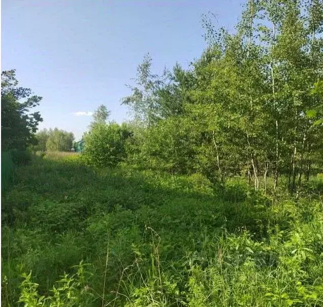 Участок в Московская область, Коломна городской округ, д. Солосцово  ... - Фото 1