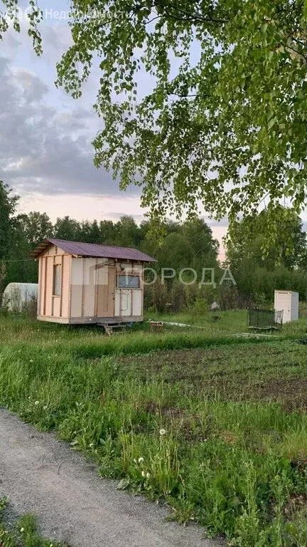 Участок в Новосибирская область, Коченёвский муниципальный район, ... - Фото 0