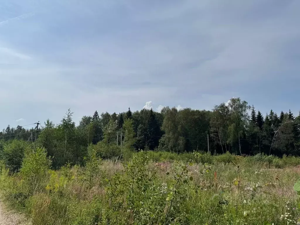 Участок в Московская область, Дмитровский муниципальный округ, ... - Фото 2