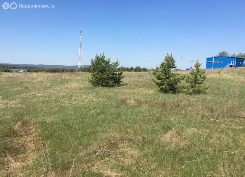 Участок в деревня Сарафаново, Лесная улица (8.03 м) - Фото 2