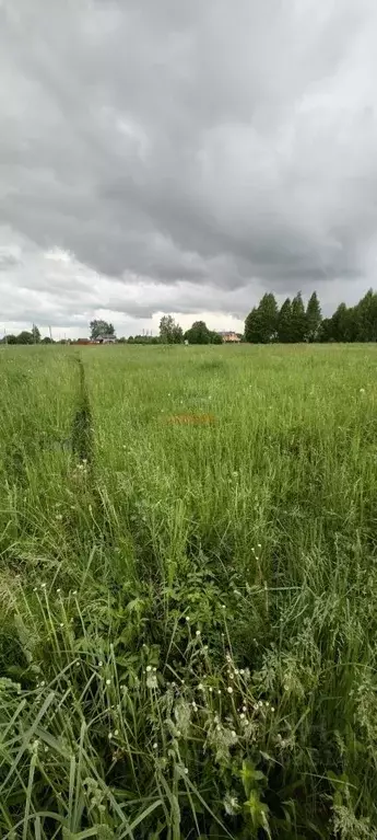 Участок в Тульская область, Тула городской округ, с. Торхово Р-132, ... - Фото 2