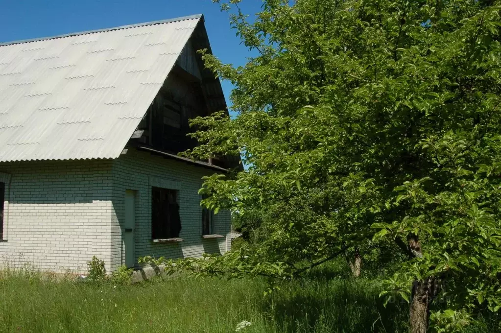 Купить Дом Ижс В Кингисеппском Районе