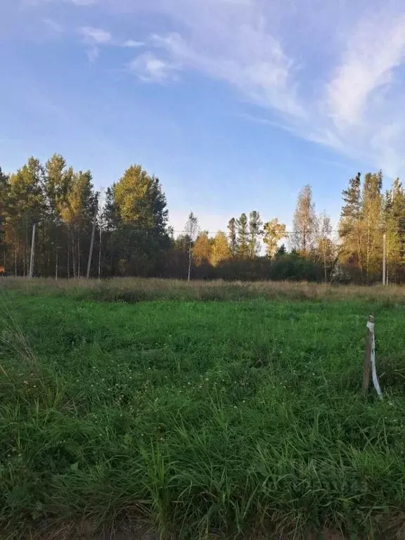 Участок в Ленинградская область, Гатчинский район, Вырицкое городское ... - Фото 0