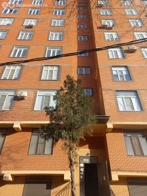 Помещение свободного назначения (262 м) - Фото 1