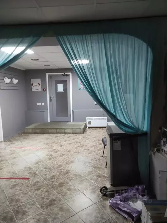 Помещение свободного назначения в Ростовская область, Ростов-на-Дону ... - Фото 1