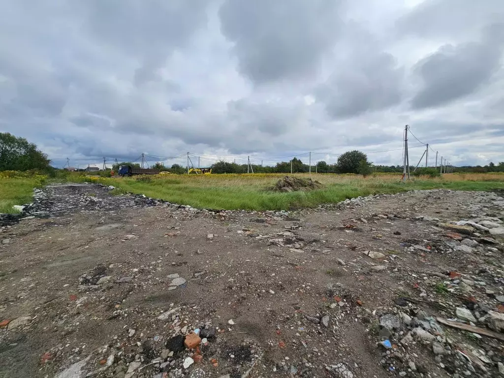 Участок в Калининградская область, Гурьевский муниципальный округ, ... - Фото 2