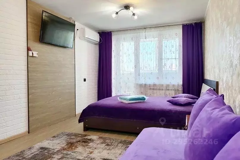 1-к кв. Хабаровский край, Хабаровск Краснореченская ул., 163 (33.0 м) - Фото 1