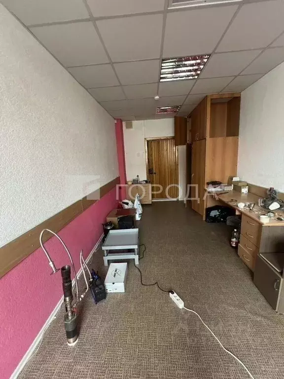Офис в Новосибирская область, Новосибирск Шлюз мкр, ул. Плотинная, 2/7 ... - Фото 1