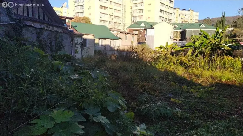 Участок в Краснодарский край, Сочи (8.19 м) - Фото 2