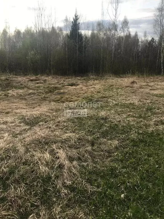 Участок в Ярославская область, Переславль-Залесский муниципальный ... - Фото 1