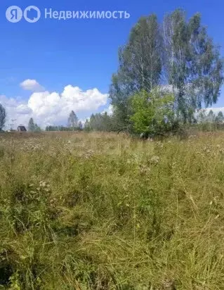 Участок в Новосибирск, СНТ Берёзка-2 (4.7 м) - Фото 2