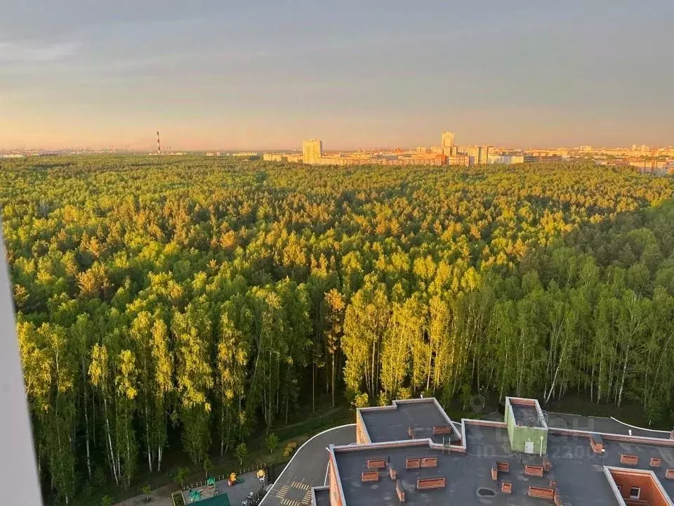 4-к кв. Челябинская область, Челябинск ул. Аношкина, 8 (150.0 м) - Фото 0