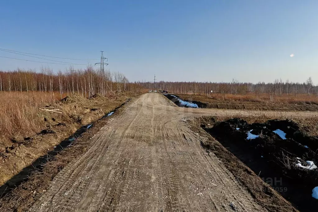 Участок в Калининградская область, Гурьевский муниципальный округ, ... - Фото 1