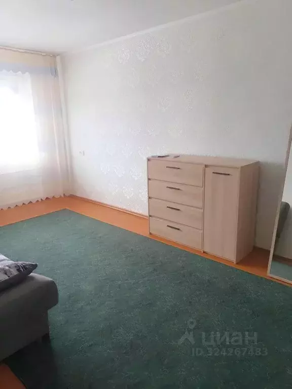 1-к кв. Алтайский край, Новоалтайск Партизанская ул., 18 (31.0 м) - Фото 1