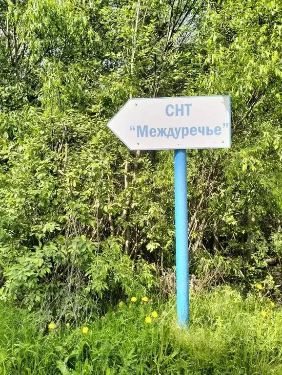 Участок в Архангельская область, Приморский муниципальный округ, ... - Фото 0