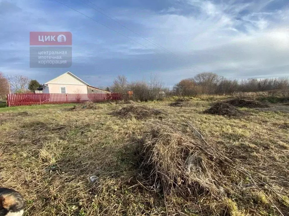 Участок в Рязанская область, Рязанский муниципальный округ, с. ... - Фото 2