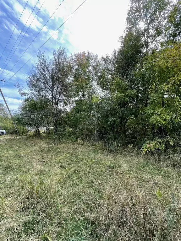 Участок в Краснодарский край, Мостовский район, Губское с/пос, ... - Фото 2